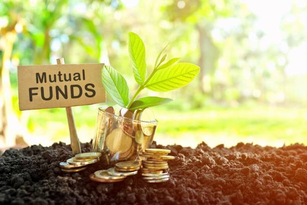 Index Funds Vs Other Mutual Funds: The Differences That Matter